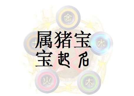 2019年腊月猪宝宝起名 腊月出生的女孩<font color='red'>小名</font>