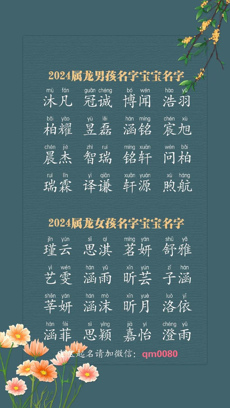 2024属龙宝宝起名宜用字 2024年龙宝宝取名五行<font color='red'>喜用</font>神字