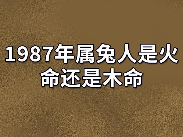 1987年属兔<font color='red'>人命</font>运 87年炉中火2024运势是什么意思？