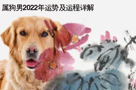 <font color='red'>狗年</font>运势2024 <font color='red'>狗年</font>2023运势是什么意思？