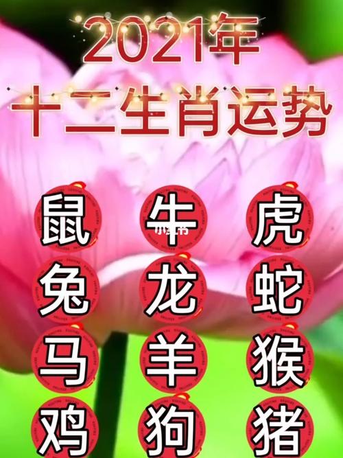 这几年运势<font color='red'>最好的</font>生肖 这几个生肖运势最好是什么意思？