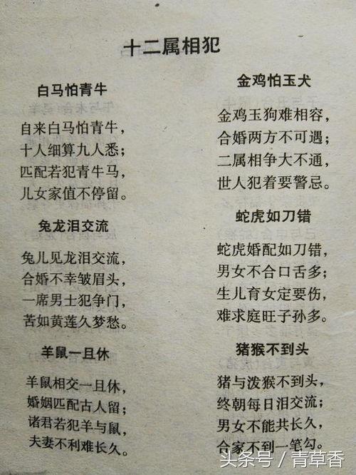 下载十二生肖配婚歌 生肖歌<font color='red'>完整版</font>是什么意思？