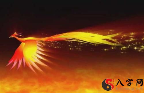 梦见凤凰在天上飞