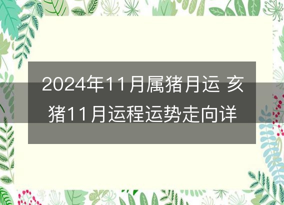 2024年11月属猪月运 亥猪11月运程运势走向详解