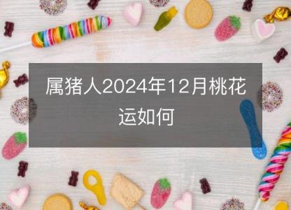 属猪人2024年12月桃花运如何