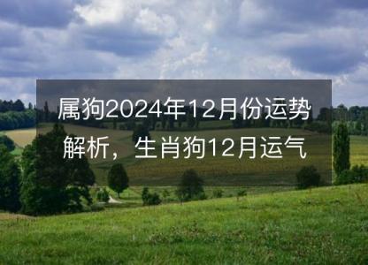 属狗2024年12月份运势解析，生肖狗12月运气好吗