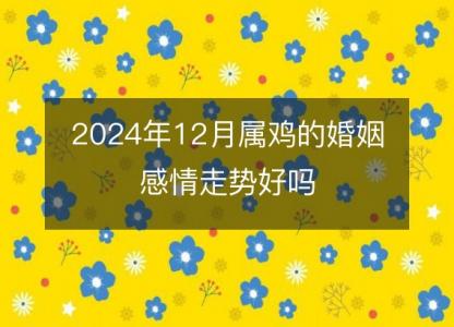 2024年12月属鸡的婚姻感情走势好吗