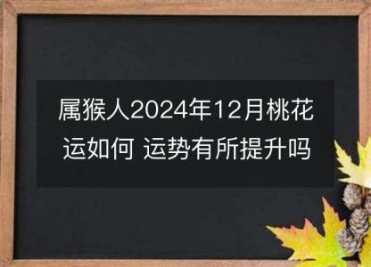 属猴人2024年12月桃花运如何 运势有所提升吗