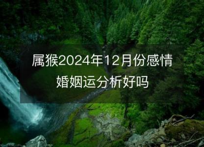 属猴2024年12月份感情婚姻运分析好吗