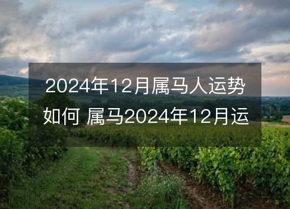 2024年12月属马人运势如何 属马2024年12月运程好吗