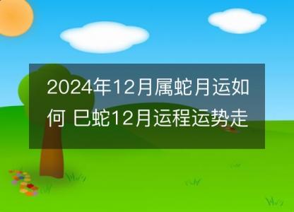 2024年12月属蛇月运如何 巳蛇12月运程运势走向详解