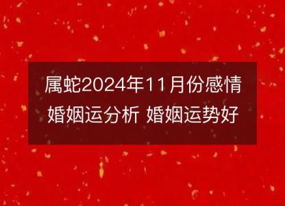 属蛇2024年11月份感情婚姻运分析 婚姻运势好吗