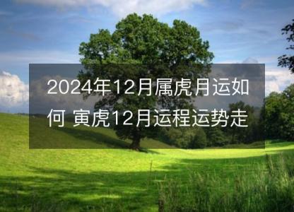 2024年12月属虎月运如何 寅虎12月运程运势走向详解