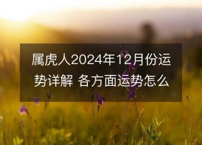 属虎人2024年12月份运势详解 各方面运势怎么样