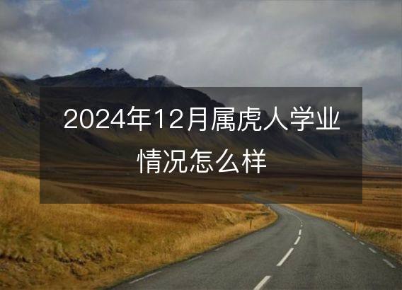 2024年12月属虎人学业情况怎么样