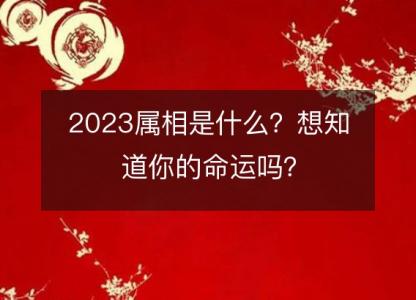 2023属相是什么？<font color='red'>想知道</font>你的命运吗？