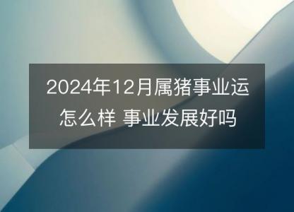 2024年12月属猪事业运怎么样 事业发展好吗