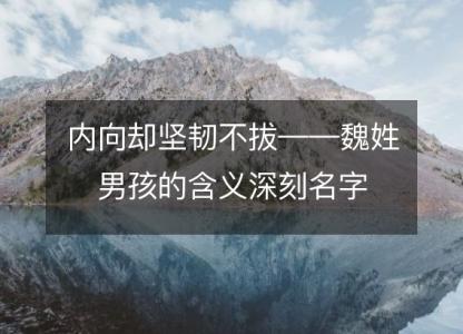 <font color='red'>内向</font>却坚韧不拔——魏姓男孩的含义深刻名字
