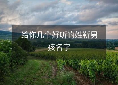 <font color='red'>给你</font>几个好听的姓靳男孩名字