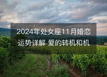 2024年处女座11月婚恋运势详解 爱的转机和机会