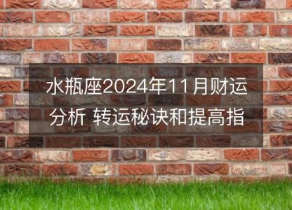 水瓶座2024年11月财运分析 <font color='red'>转运</font>秘诀和提高指南