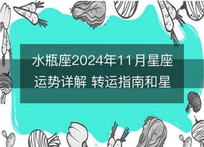 水瓶座2024年11月星座运势详解 转运指南和星象解析