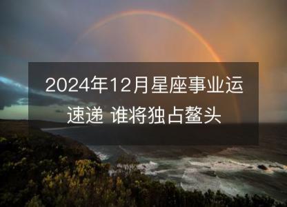 2024年12月星座事业运速递 谁将<font color='red'>独占鳌头</font>
