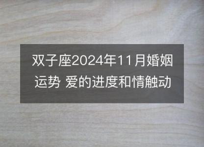 双子座2024年11月婚姻运势 爱的进度和情触动态分析