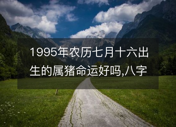 1995年农历七月十六出生的属猪命运好吗,八字五行缺什么 性格特点