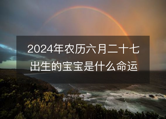 2024年农历六月二十七出生的宝宝是什么命运？生辰八字,事业,五行解析