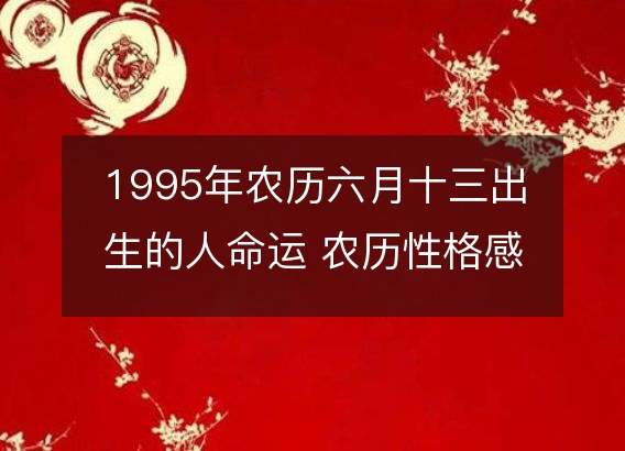 1995年农历六月十三出生的人命运 农历性格感情，事业财运详解