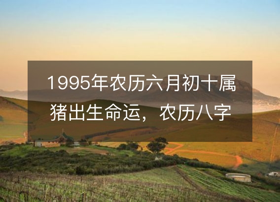 1995年农历六月初十属猪出生命运，农历八字五行缺不缺 性格特点