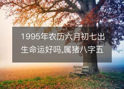 1995年农历六月初七出生命运好吗,属猪八字五行事业感情解析