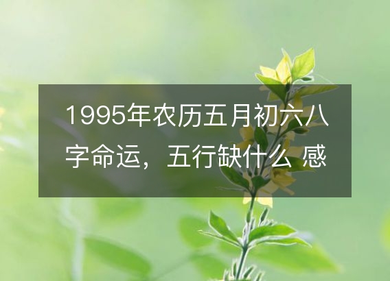 1995年农历五月初六八字命运,五行缺什么 感情婚姻、性格、事业财运