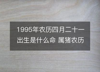 1995年农历四月<font color='red'>二十一</font>出生是什么命 属猪农历八字五行解析  性格特点