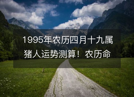 1995年农历四月十九属猪人运势测算!农历命运,五行缺什么