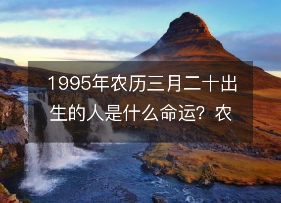 1995年农历三月二十出生的人是什么命运?农历生辰八字,事业,五行解析